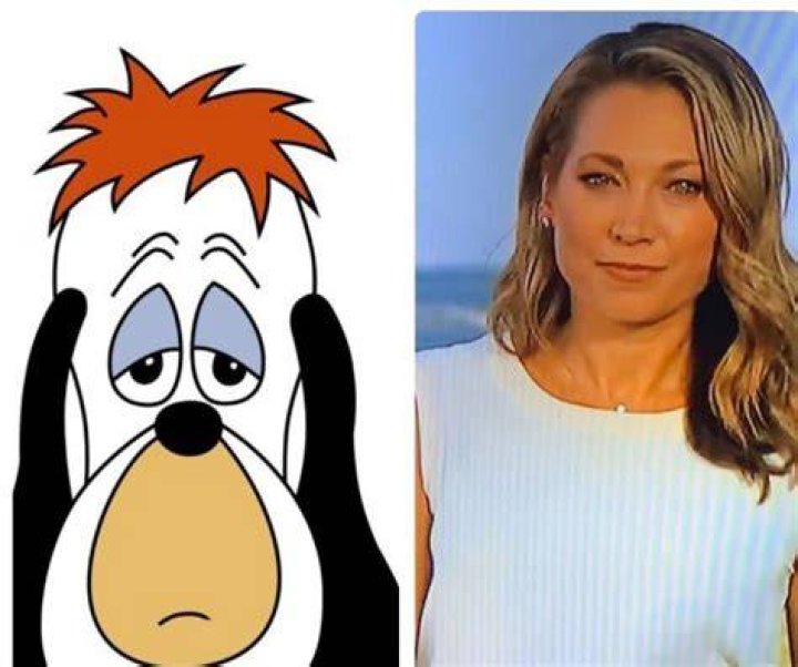 In an abrasive tweet, Ginger Zee's breasts were likened to the cartoon dog Droopy following her ABC talk on climate change.