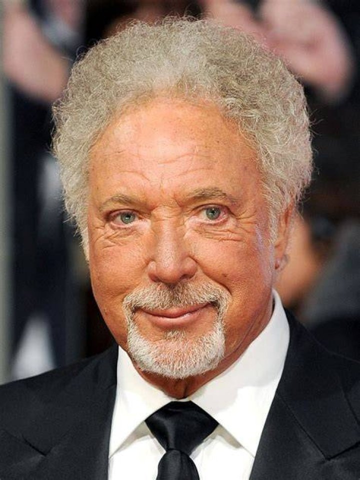 Intriguing Facts About Tom Jones Star Hannah Waddingham