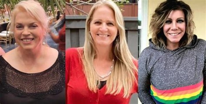 Janelle Brown, Christine Brown, Meri Brown and Robyn Brown appear together in a 'Sister Wives' promotional photos; most of them no longer have relationships with each other.