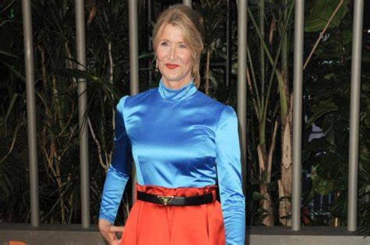 Laura Dern explains why gun laws need to be changed following the mass school shooting in Texas