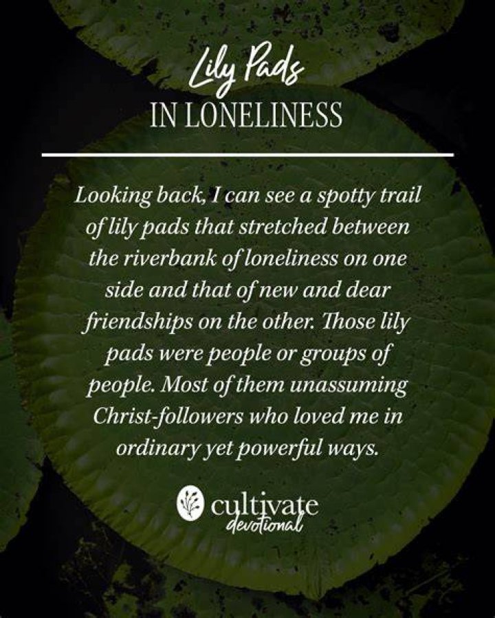 Lily died of loneliness. | Source: Pexels