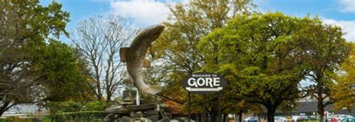 Living in Gore Gore Health Ltd Working in Gore