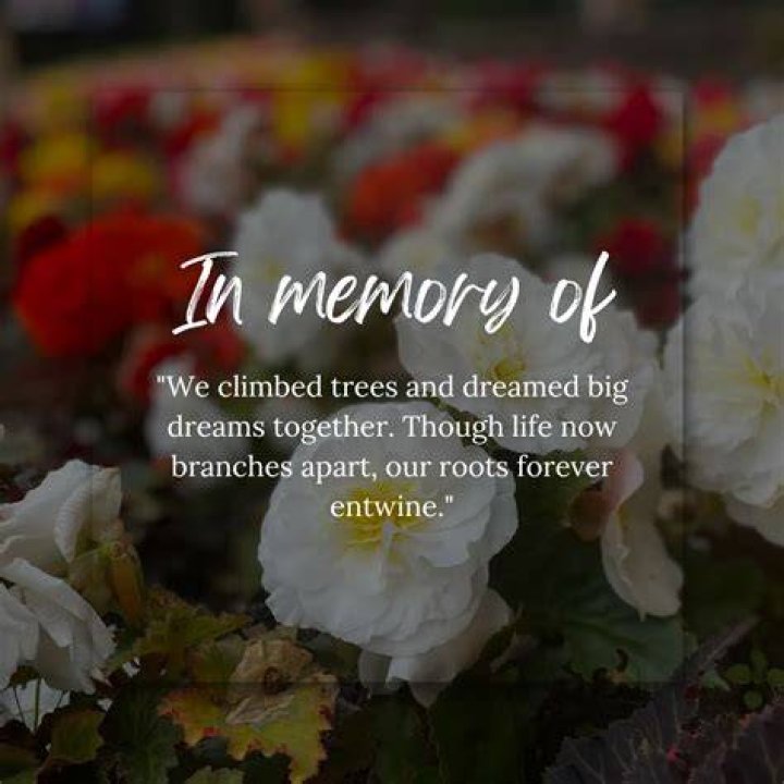 Memories: Meanwhile, friends and loved ones have flocked to a public Facebook group set up to share memories of the late advertorial host