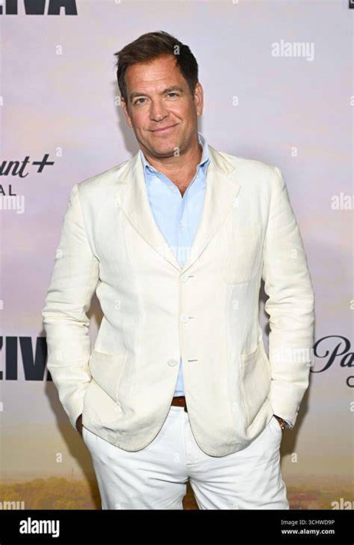 Michael Weatherly attends the "Last Days Of Disco" 20th anniversary screening at Walter Reade Theater on May 24, 2018 in New York City | Photo: Getty Images
