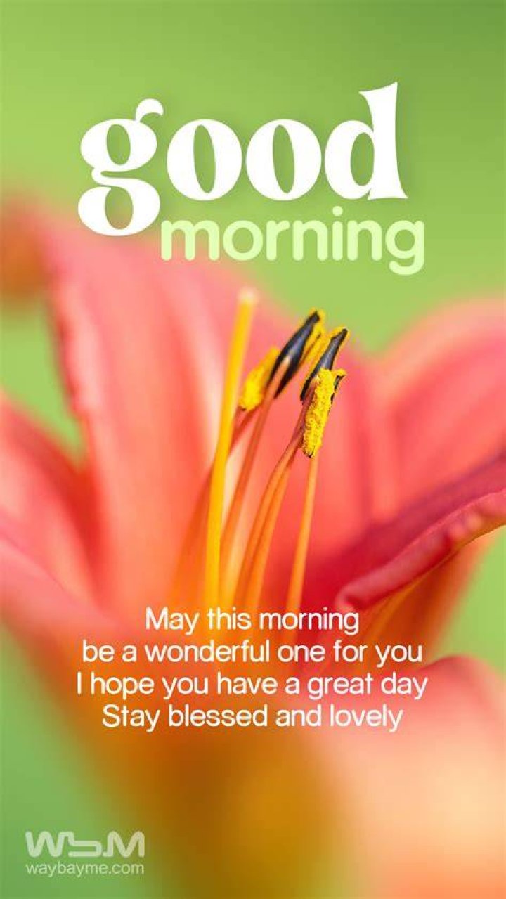 Morning Greetings Morning Wishes