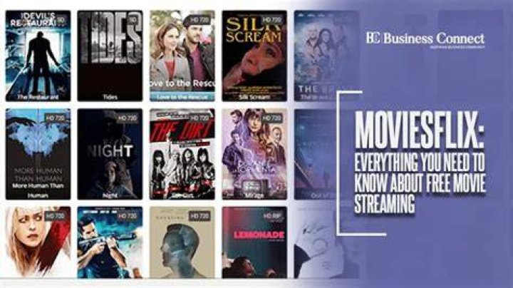Moviesflix com review Things you need to know about it