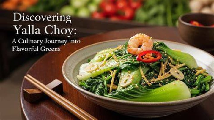 Noodlesmagzine A Flavorful Journey Into The World Of Noodles