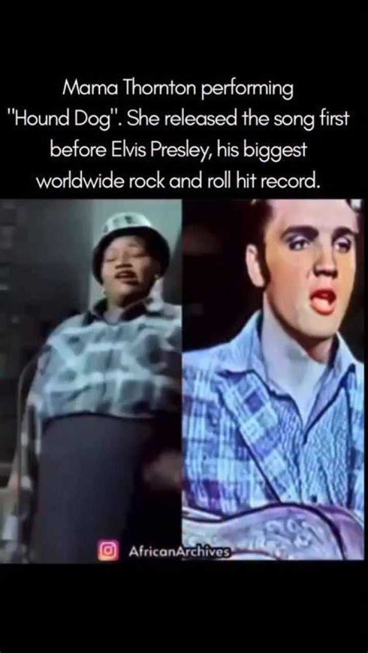 On a roll: She played McFeast in a number of TV specials, including Sex, Guys and Video Tape, Elle McFeast Live, and Breasts. Pictured centre in the '90s