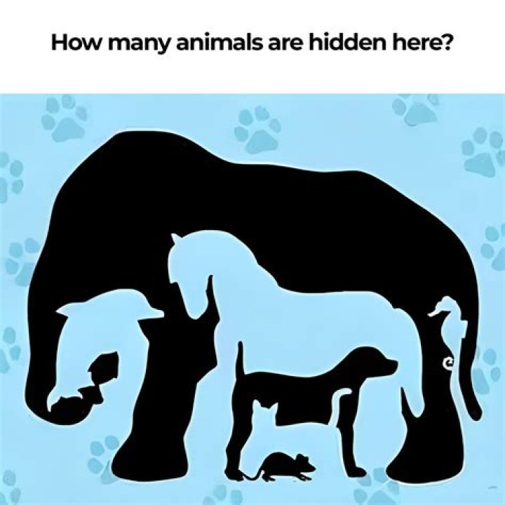 Optical Illusion: Can you spot the Hidden Numbers in this Image? Optical Illusion: Can you spot the Hidden Numbers in this Image?