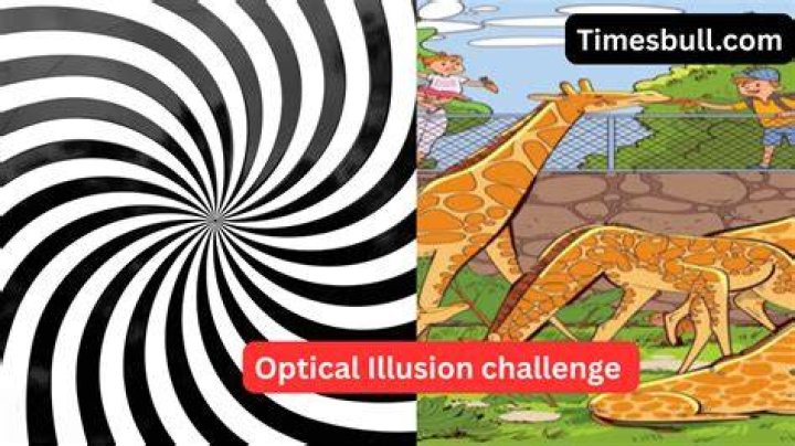 Optical Illusion Challenge: Can you spot the Black Plum in this picture within 12 seconds? Optical Illusion Challenge: Can you spot the Black Plum in this picture within 12 seconds?