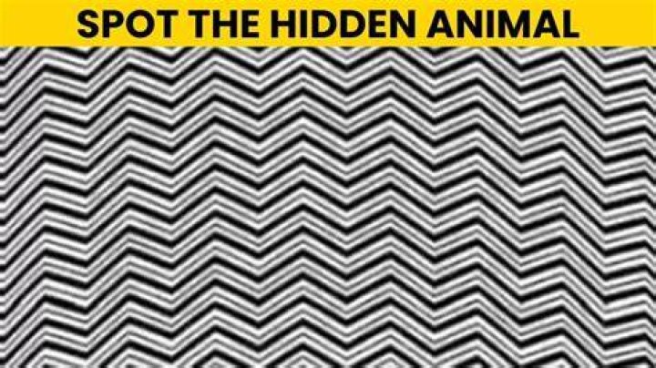 Optical Illusion to Test Your Brain: Can You Spot the Cane in this Image in 12 Seconds? Optical Illusion to Test Your Brain: Can You Spot the Cane in this Image in 12 Seconds?