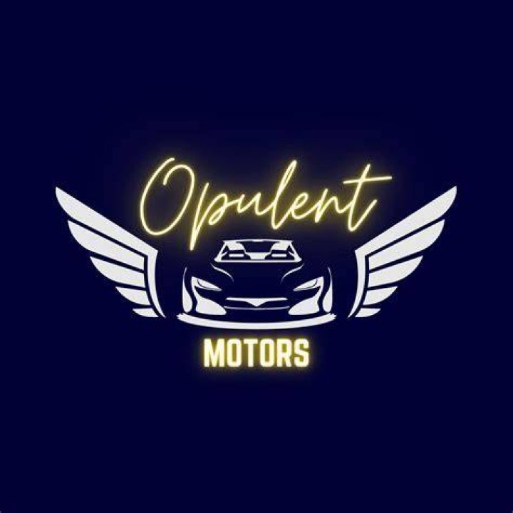 Opulent: The motor appears to be a vintage Jaguar Roadsters