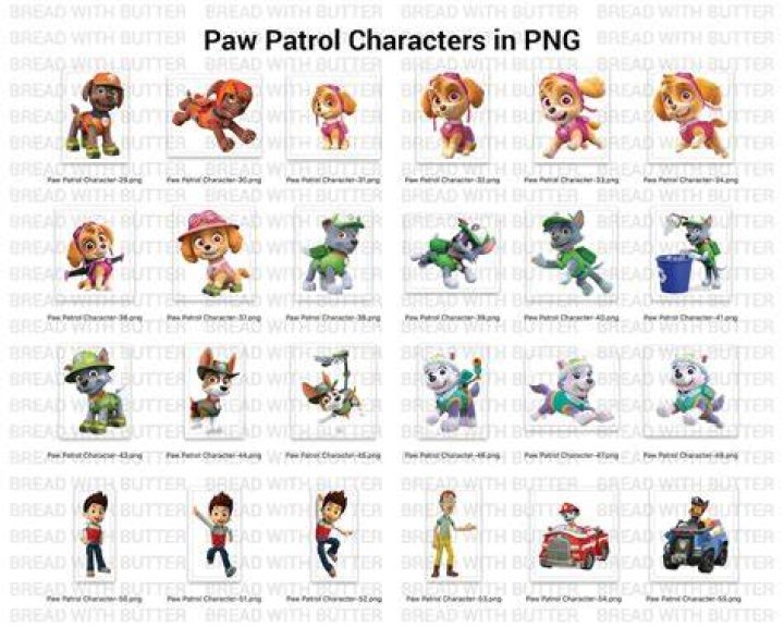 Paw Patrol Character Names, Explained