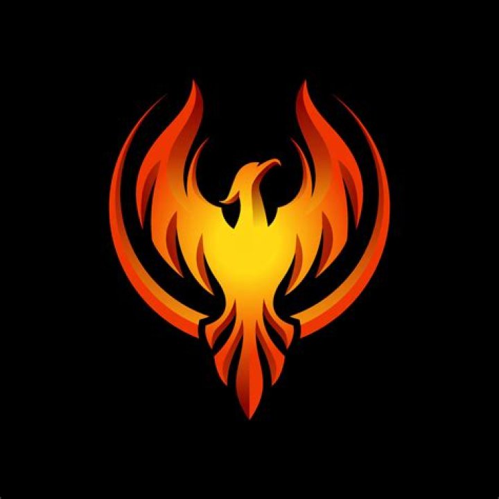 Phoenix Vector, Bird, Phoenix Fire, Dragon Phoenix PNG and Vector with Transparent Background