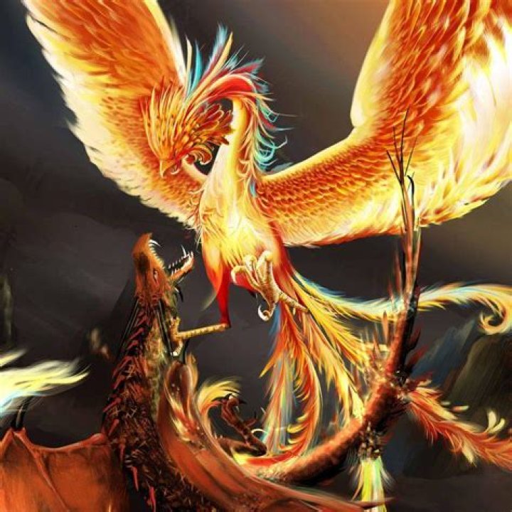 Phoenix Wallpaper, Phoenix Artwork, Dragon Artwork, Bird Wallpaper, Phoenix Painting, Image