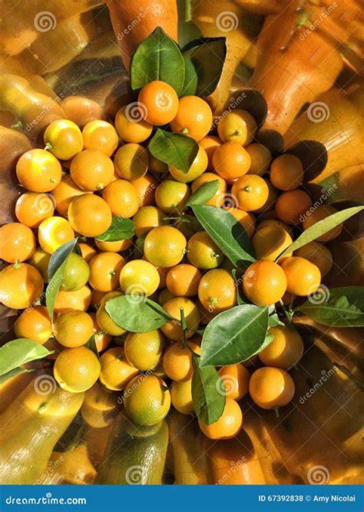 Photo of Calamondin oranges arranged in vintage juicer | Getty Images