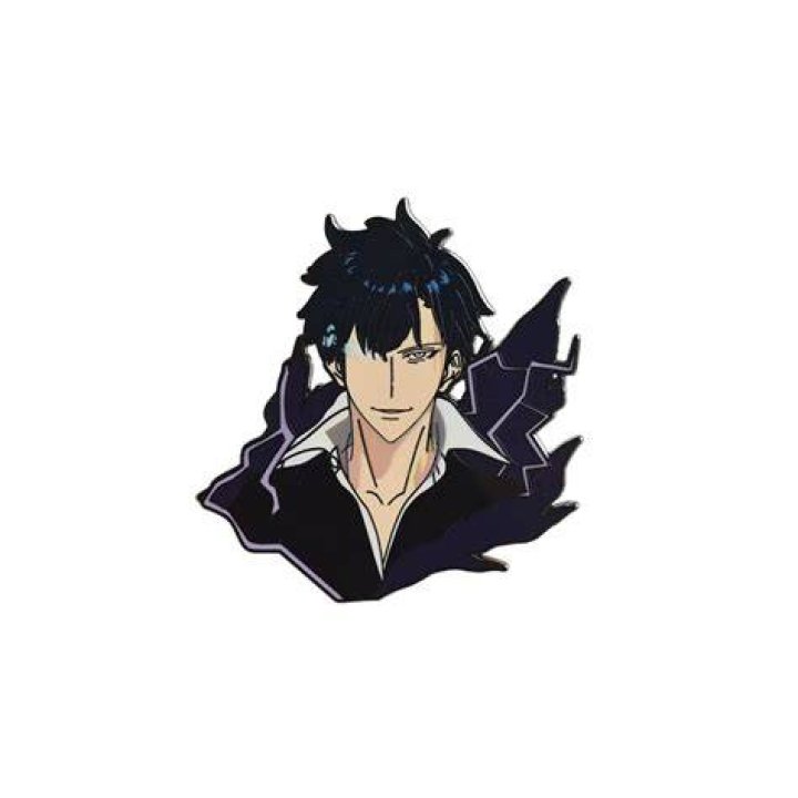 Pin on Solo Leveling (Sung JinWoo) Cha haein, Sung jinwoo, Manga illustration