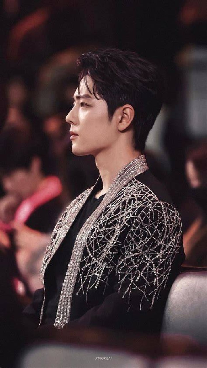 Pin on wang yibo xiao zhan