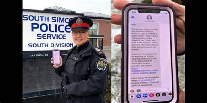 Police found a text message exchange when they examined the phone of a woman to whom Hadi Skaf sold what she thought was cocaine for $750. 'Hello are you around Surry tonight? 3 please,' the woman asked. 'Yes send full address,' was the response