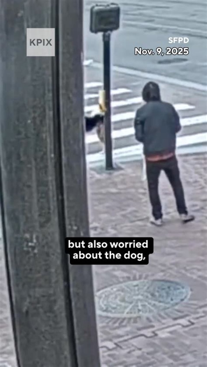 Police have released multiple images of the white Volkswagen Golf Sportswagen in a bid to track the suspects down. The reward to track them down has now surged to $500,000 prior to the arrests