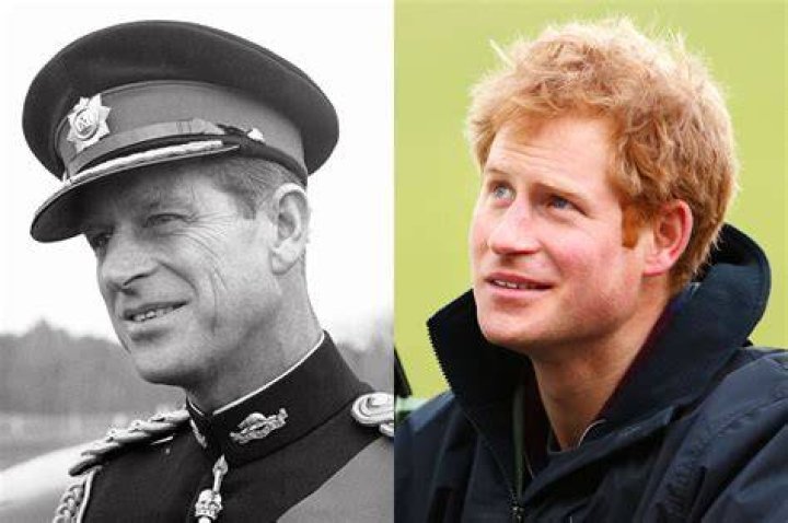 Prince Harry and Prince Philip, Duke of Edinburgh chatting at the 2015 Rugby World Cup Final match between New Zealand and Australia at Twickenham Stadium in London, England | Photo: Getty Images