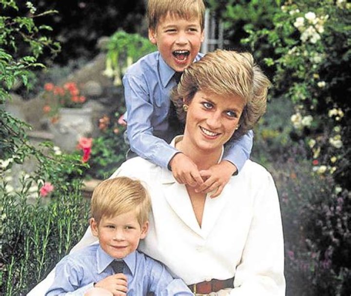 Princess Diana, with her sons Prince William and Prince Harry at the Heads of State VE Remembrance Service in Hyde Park on May 7, 1995 in London, England. | Photo: Getty Images