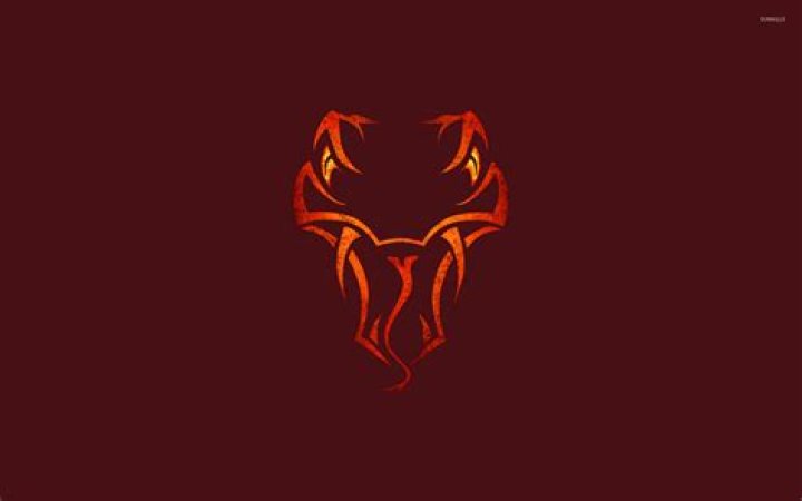 Randy Orton Viper Logo Wallpapers Wallpaper Cave