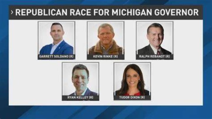 Republican Michigan gubernatorial candidate Tudor Dixon speaks with Fox News' Brandon Gillespie in an interview on Tuesday, July 26, 2022.