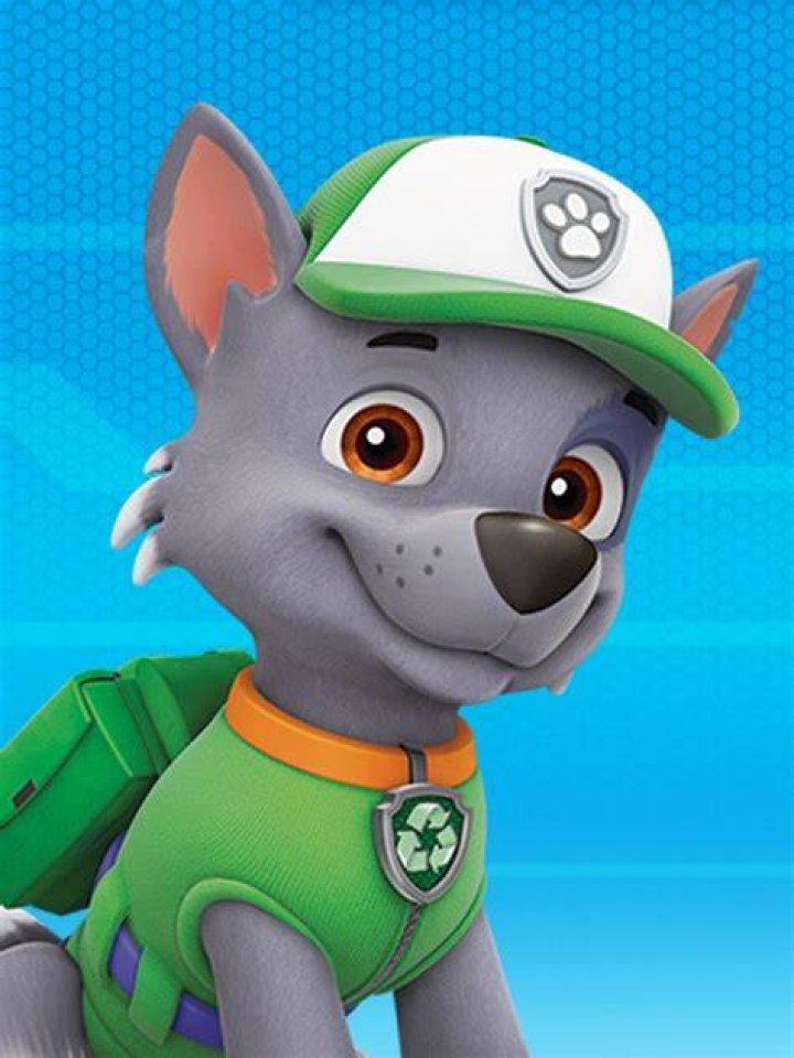 Rocky/Gallery PAW Patrol Wiki Fandom Paw patrol birthday theme, Paw patrol pups, Paw