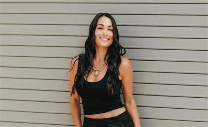 Screenshot of Brie Bella's Instagram Story, as she talks about her weight loss journey. | Source:
