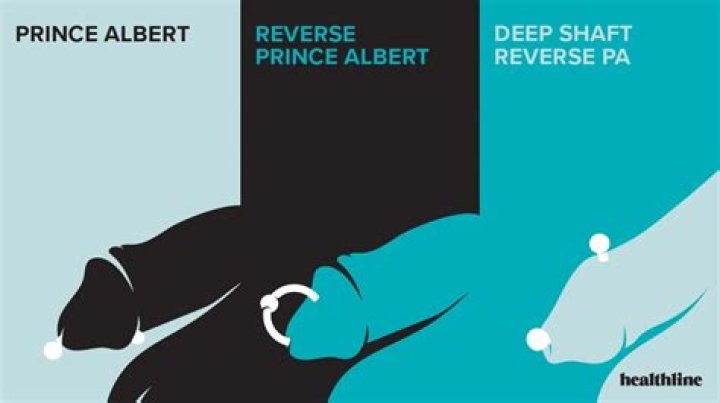Should I get Prince Albert piercing?