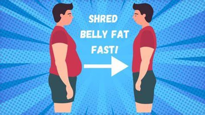 shred belly fat
