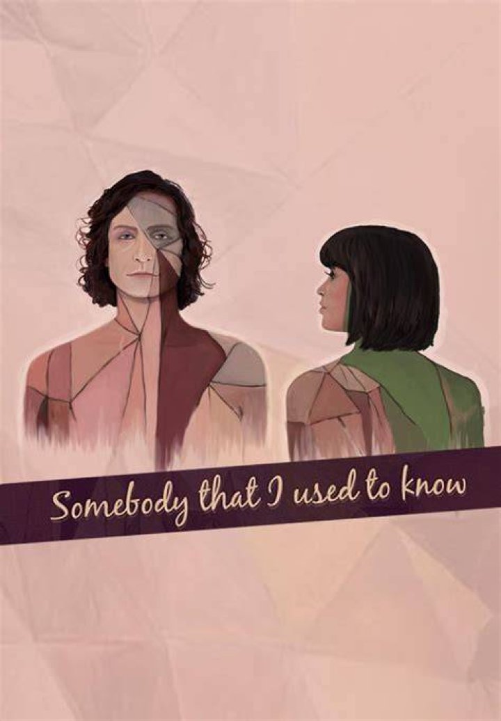 Somebody I Used To Know ending explained