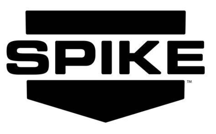 Spike TV's 2011 Video Game Awards - Arrivals