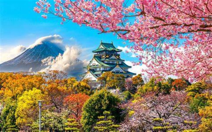Spitz in Osaka, 20240116 Tickets & Event Details
