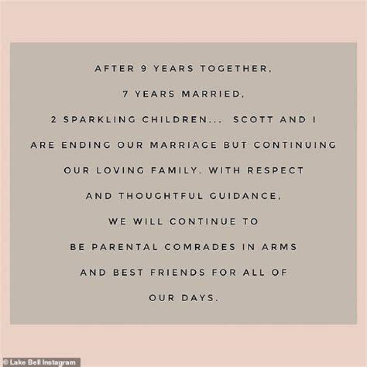 Split: Lake Bell made the unusual announcement on Instagram last fall saying they would remain 'parental comrades in arms'