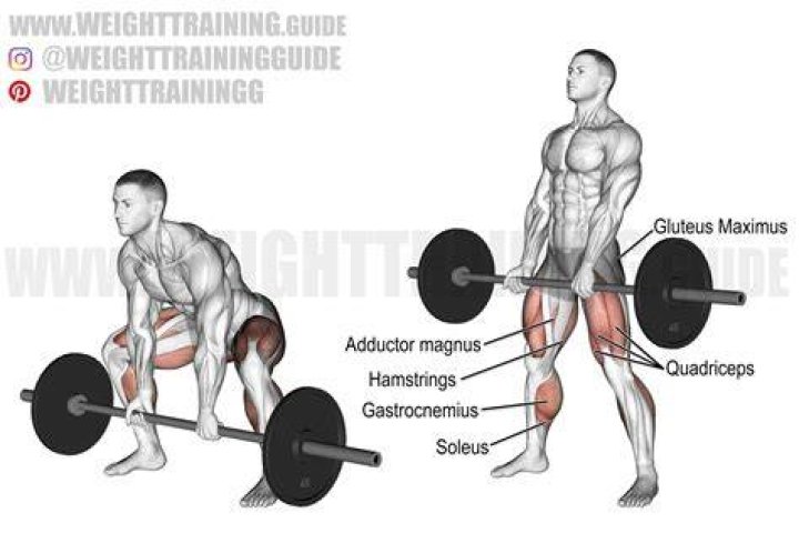 sumo deadlift