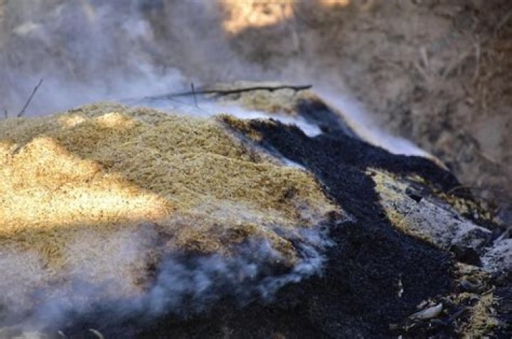 The burning husk of a Russian tank destroyed by an NLAW outside a suburban house, one of an estimated 1,000 Russian tanks taken out by the Ukrainian army