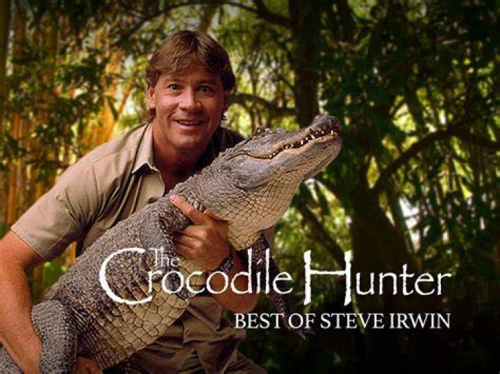 The Crocodile Hunter", Steve Irwin, poses with a three foot long alligator at the San Francisco Zoo | Photo: Getty Images