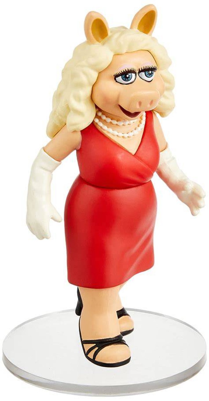 The Miss Piggy Toy Harry bought for Sasha for her birthday. The Duke bought it at Thorpe park and gave it to her at her party with a card