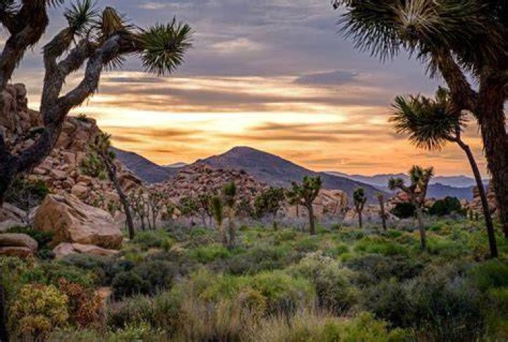 The overgrown Mojave Desert park was featured in 'Top Gear' Season 5 in 2014 and a Mini Cooper commercial with Tony Hawk in 2015.