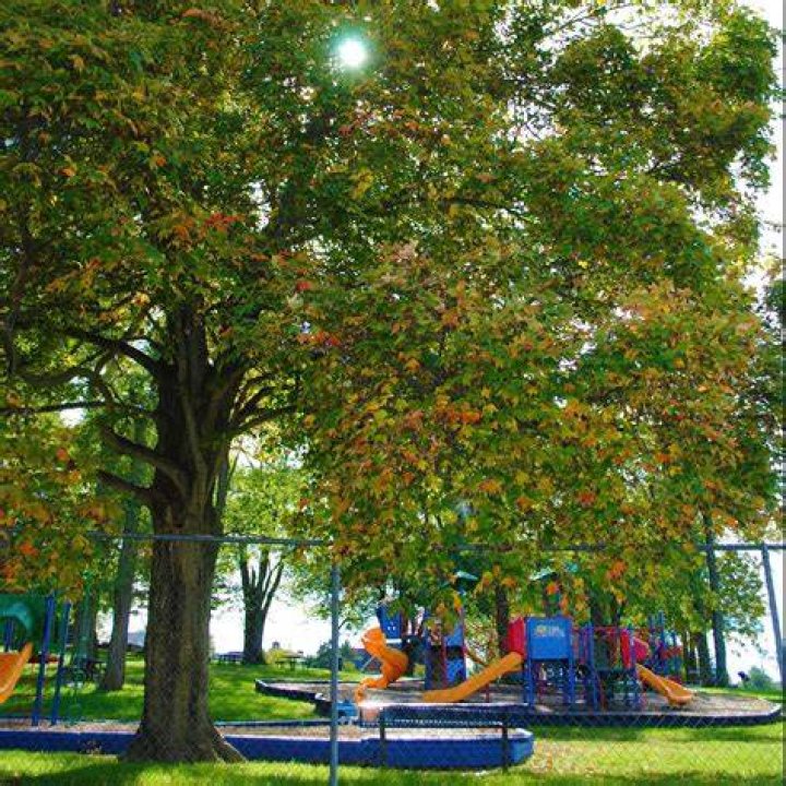 The park also has a dark history. Just a year after it opened as 'Rock-a-Hoola' in 1998, an employee was permanently paralyzed on the park's 'Doo Wop Super Drop' slide in 1999 and, after he won a $4.4million judgement, then-owner Lake Dolores Group LLC filed for bankruptcy in 2000.