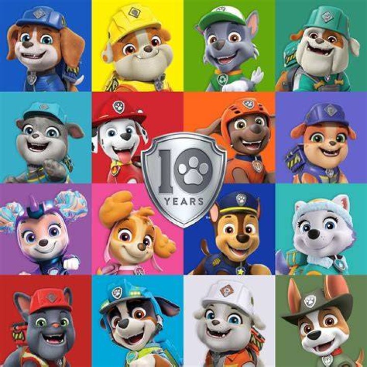 the paw patrol characters are all in different colors and sizes, with names on them