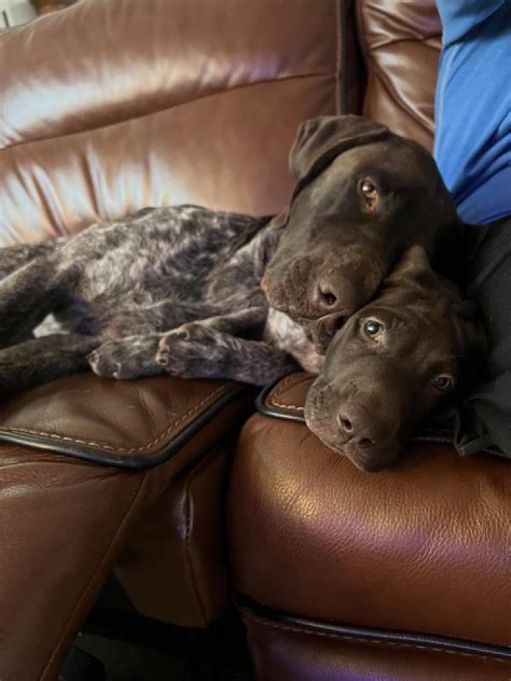 The two have been inseparable since and spent much of their time together during lockdown