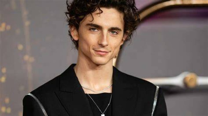 Timothée Chalamet at the "Beautiful Boy" premiere in, Los Angeles, on October 8, 2018. | Source: Getty Images