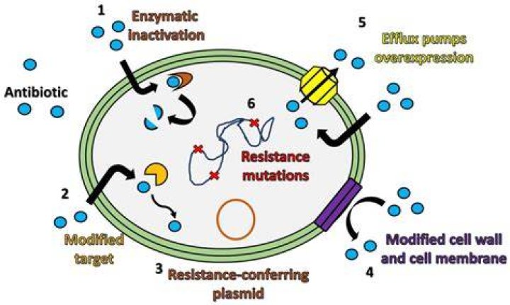 Unevenness Round down Antibiotics catherine paiz and michael jordan b effective Mona Lisa Less
