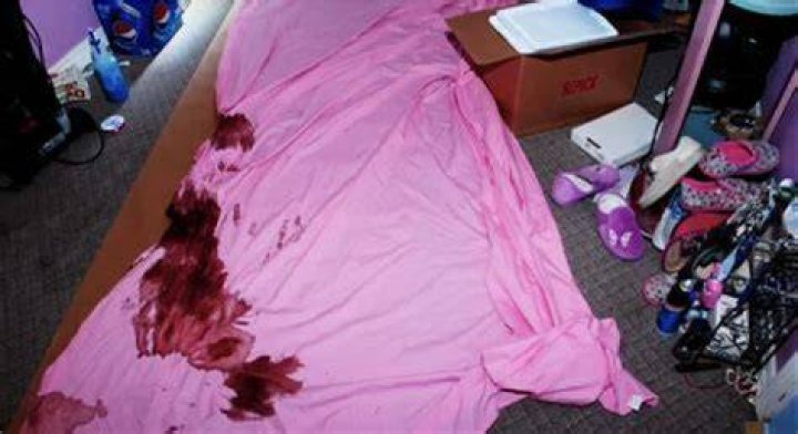 Unraveling The Mystery Of The Gypsy Rose Crime Scene Photo