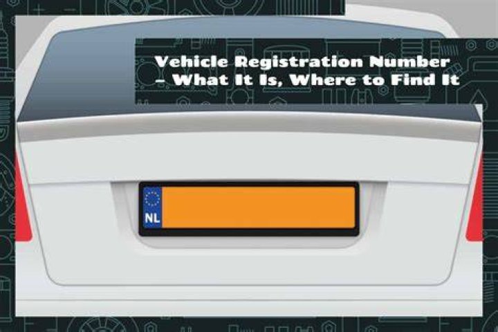 Where is the registration number on a birth certificate in India?
