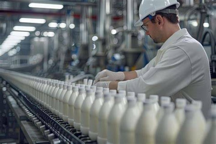 worker inspecting milk bottles